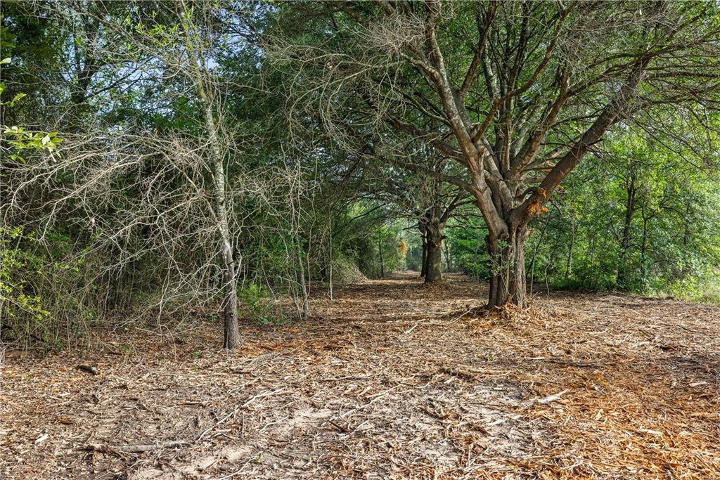 5163 County Road 358, Gause, TX 77836 — photo 3