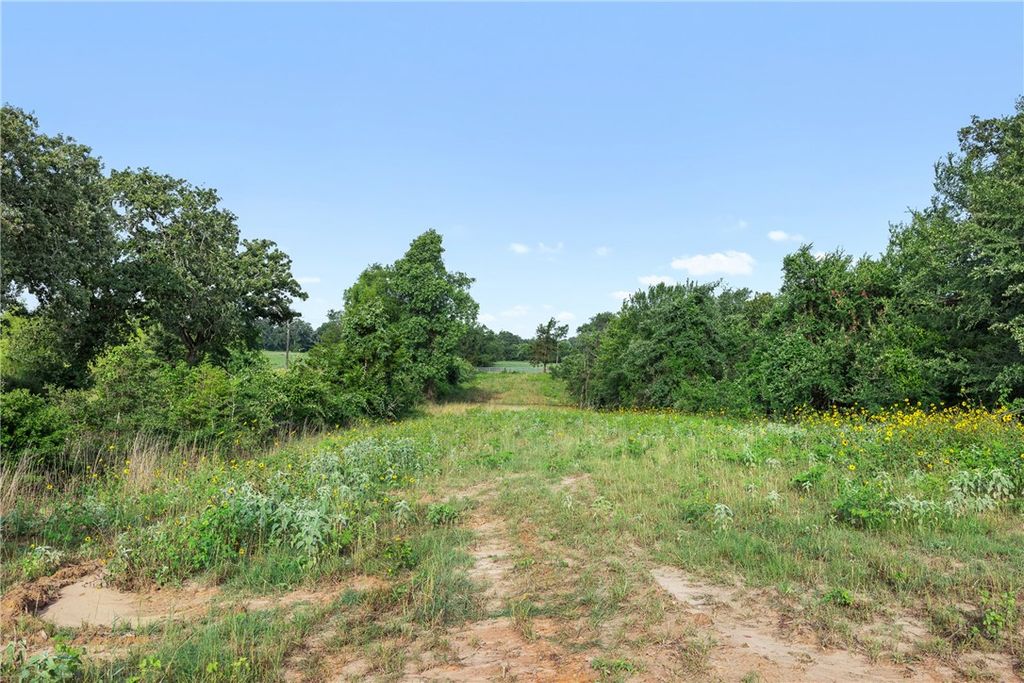 5163 County Road 358, Gause, TX 77836 — photo 4