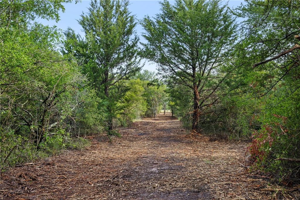 5163 County Road 358, Gause, TX 77836 — photo 5