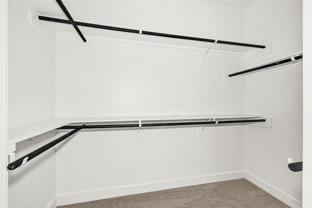 19831 Palomino Prairie Trail, Tomball, TX 77377