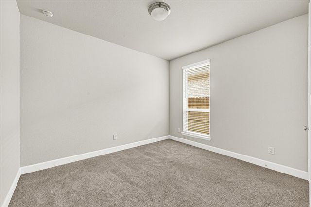 19831 Palomino Prairie Trail, Tomball, TX 77377