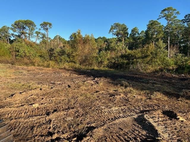 0 Dauphin Island Parkway, Coden, AL 36523