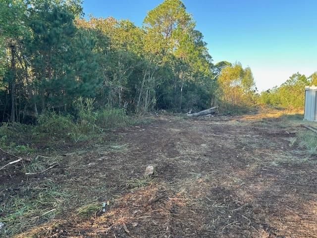 0 Dauphin Island Parkway, Coden, AL 36523