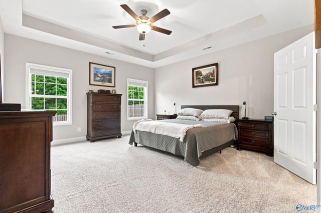 29216 Crawfish Drive NW, Harvest, AL 35749