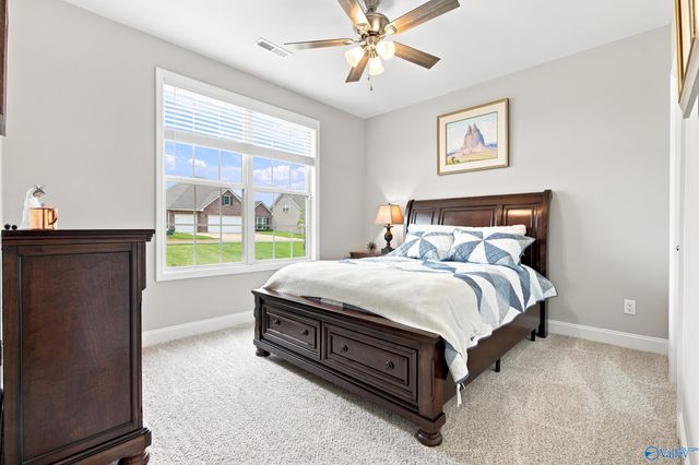 29216 Crawfish Drive NW, Harvest, AL 35749