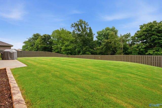 29216 Crawfish Drive NW, Harvest, AL 35749