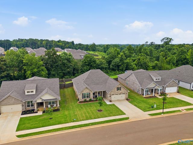 29216 Crawfish Drive NW, Harvest, AL 35749