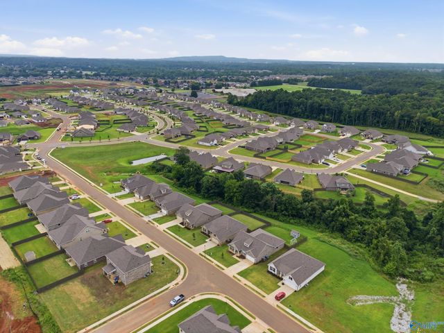 29216 Crawfish Drive NW, Harvest, AL 35749