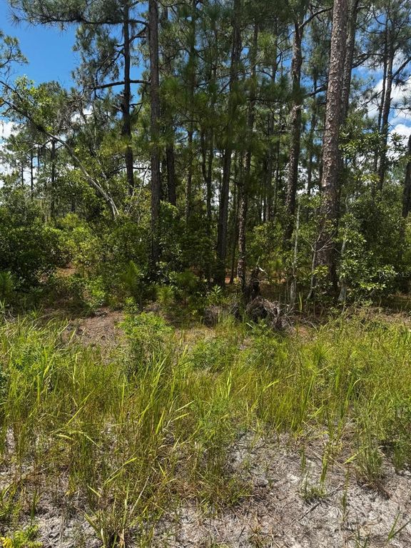MCCLELLAN ROAD 6, Frostproof, FL 33843