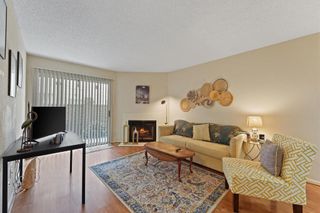 2120 El Paseo Street 2509, Houston, TX 77054