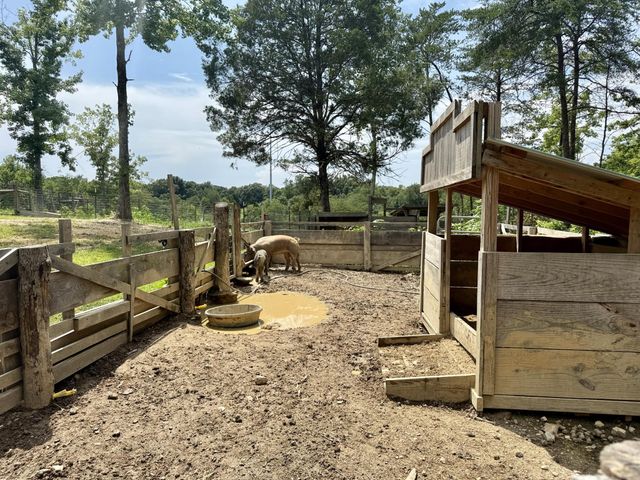 611 Clear Creek Road, Evensville, TN 37332