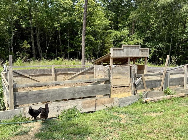 611 Clear Creek Road, Evensville, TN 37332