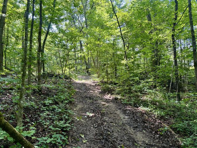 611 Clear Creek Road, Evensville, TN 37332