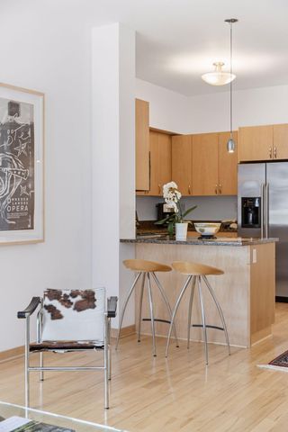 215 10th Avenue S 435, Minneapolis, MN 55415