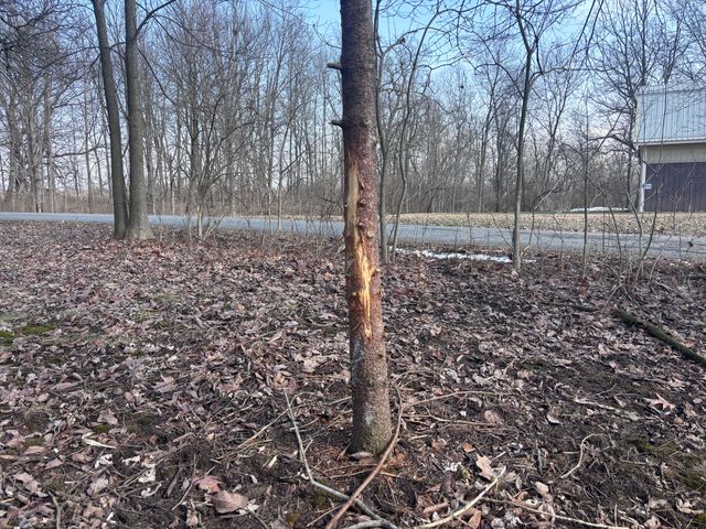 924 Eris Road 924 Eris Road, Urbana, OH 43078