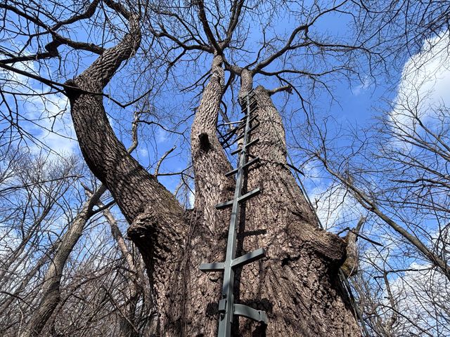 924 Eris Road 924 Eris Road, Urbana, OH 43078