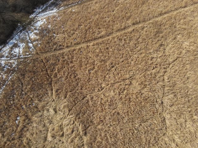 924 Eris Road 924 Eris Road, Urbana, OH 43078