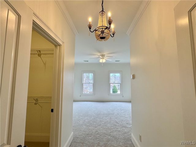 5402 Courtney, Tuscaloosa, AL 35406