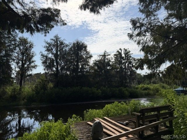 4210 E Lake Park Drive, Hernando, FL 34442