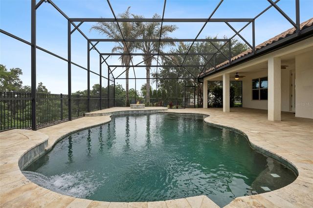 16704 CARAVAGGIO LOOP, Montverde, FL 34756