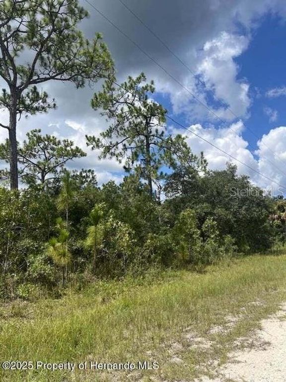 0 0 YELLOW FROG AVENUE, Weeki Wachee, FL 34614
