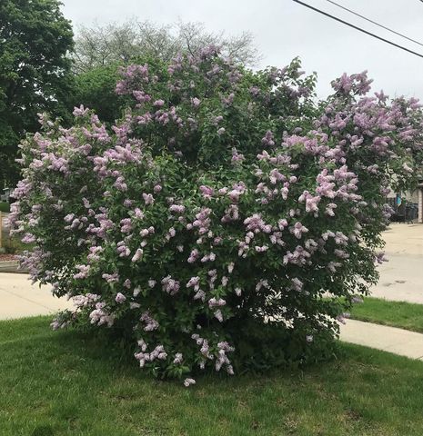 5701 W Stack DRIVE, Milwaukee, WI 53219