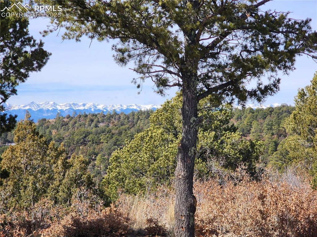 33066 Westwood Drive, Trinidad, CO 81082 — photo 5
