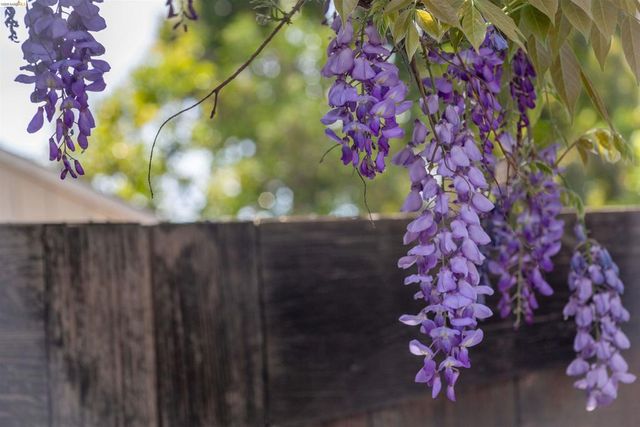 33 Ramona Ave, Oakland, CA 94611