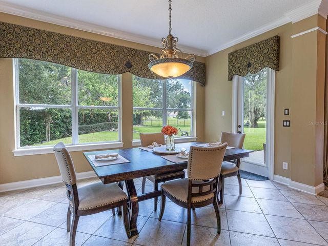 25846 FEATHER RIDGE LANE, Sorrento, FL 32776