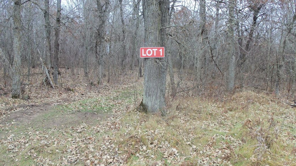 Lot 1 300th St, Sterling Twp, WI 54024