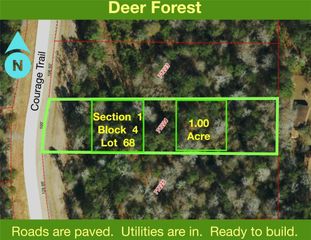 1-4-68 Courage Trail, New Waverly, TX 77358