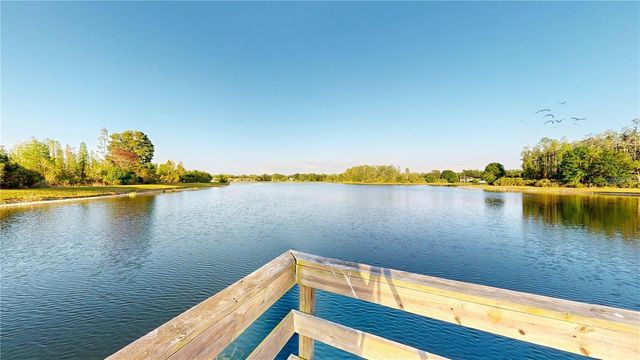 17744 ESPRIT DRIVE, Tampa, FL 33647