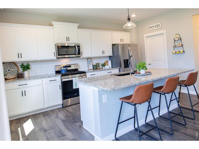 3691 Speedwell St, Wellington, CO 80549