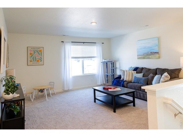 3691 Speedwell St, Wellington, CO 80549