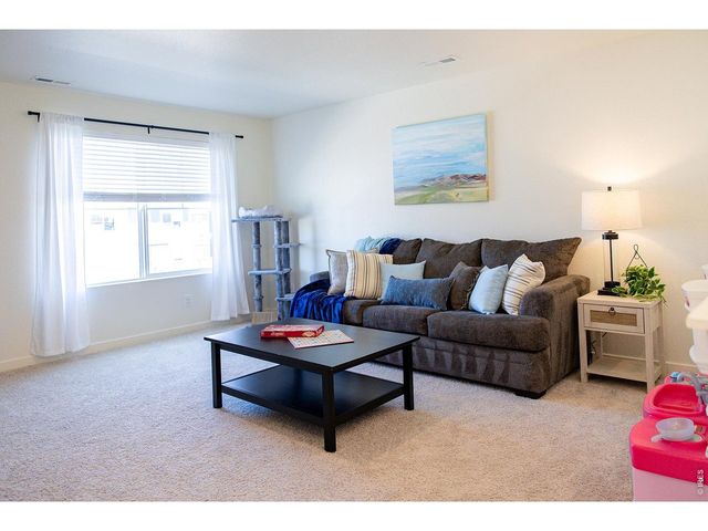 3691 Speedwell St, Wellington, CO 80549