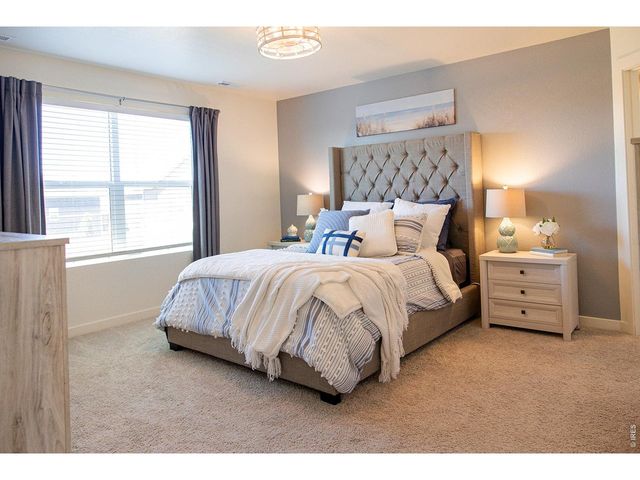 3691 Speedwell St, Wellington, CO 80549
