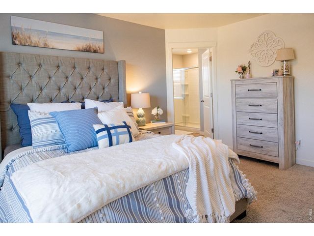 3691 Speedwell St, Wellington, CO 80549
