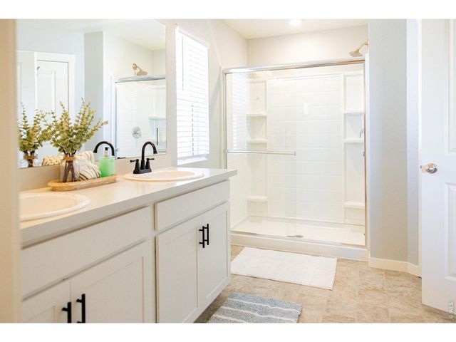 3691 Speedwell St, Wellington, CO 80549