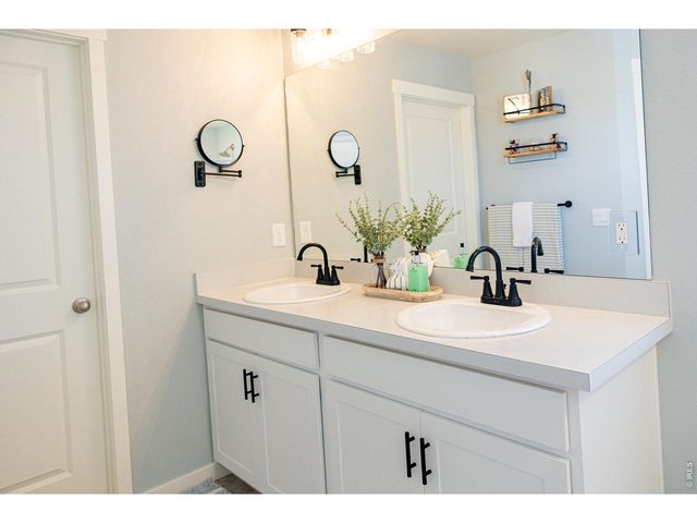 3691 Speedwell St, Wellington, CO 80549