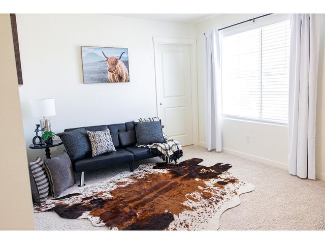 3691 Speedwell St, Wellington, CO 80549