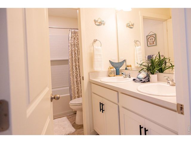 3691 Speedwell St, Wellington, CO 80549