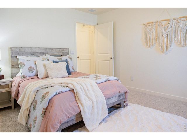 3691 Speedwell St, Wellington, CO 80549