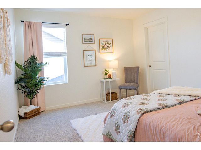 3691 Speedwell St, Wellington, CO 80549