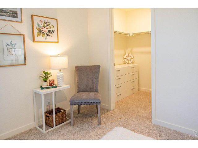 3691 Speedwell St, Wellington, CO 80549