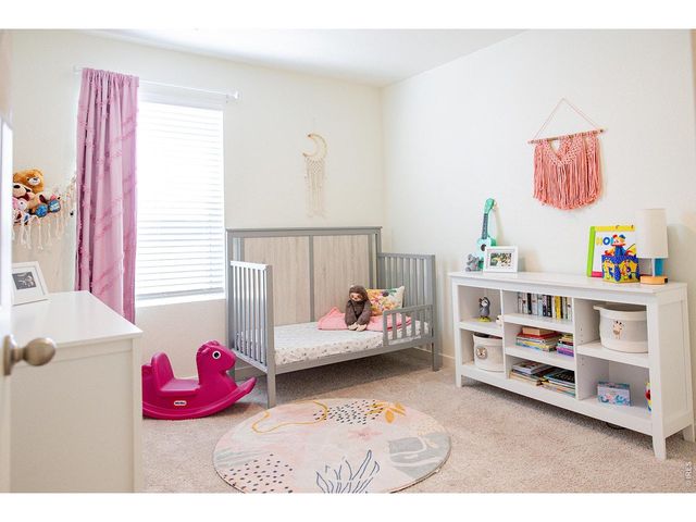 3691 Speedwell St, Wellington, CO 80549
