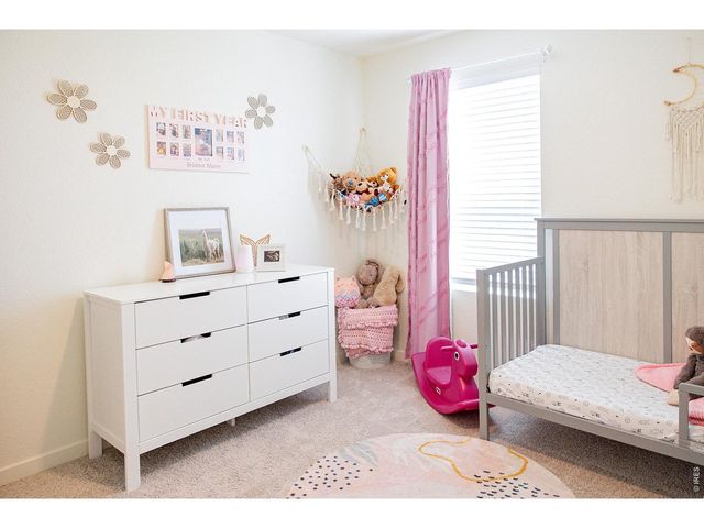 3691 Speedwell St, Wellington, CO 80549