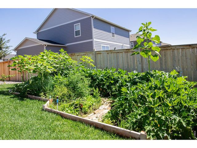 3691 Speedwell St, Wellington, CO 80549