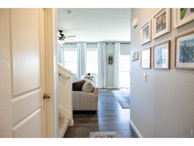 3691 Speedwell St, Wellington, CO 80549
