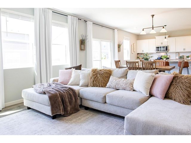 3691 Speedwell St, Wellington, CO 80549