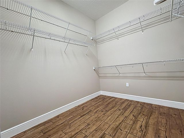 244 SILVER MAPLE ROAD, Groveland, FL 34736